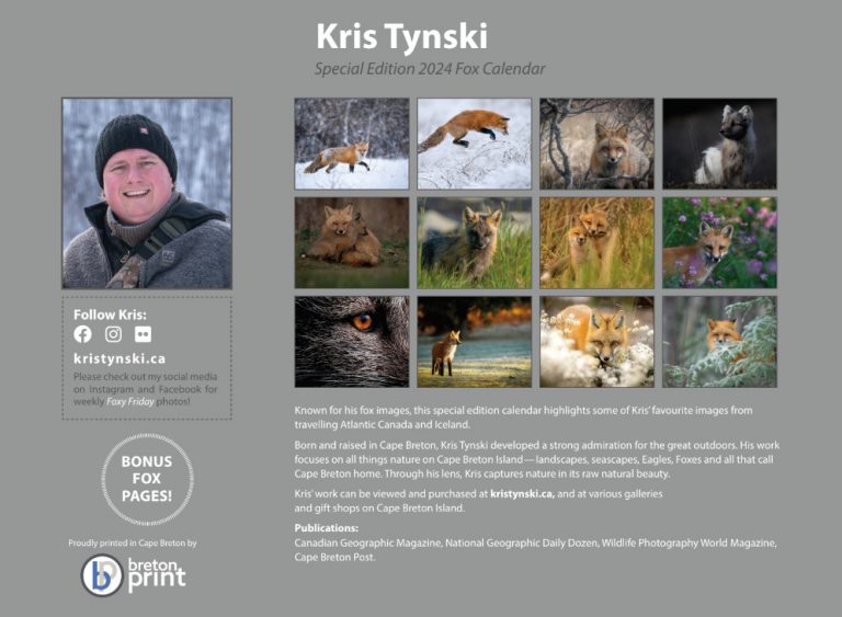 Kris Tynski Nature Photographer Limited Edition Fox Calendar 2024